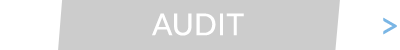 Audit Médical - TVF Consulting