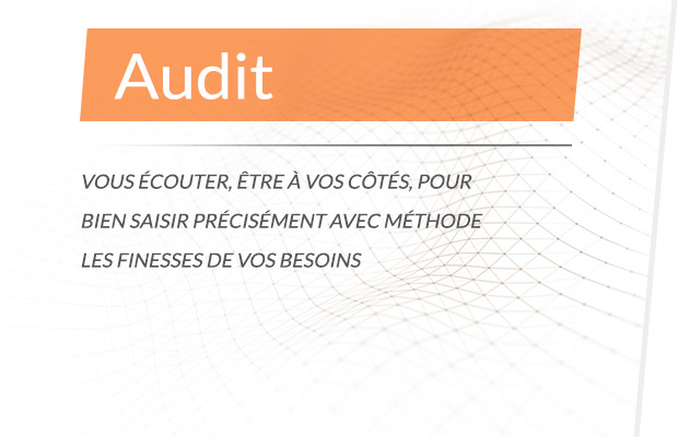 Audit Entreprises - TVF Consulting