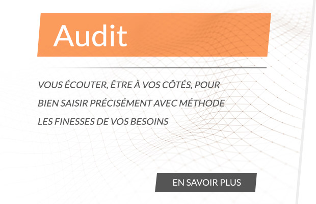 Audit Entreprises - TVF Consulting