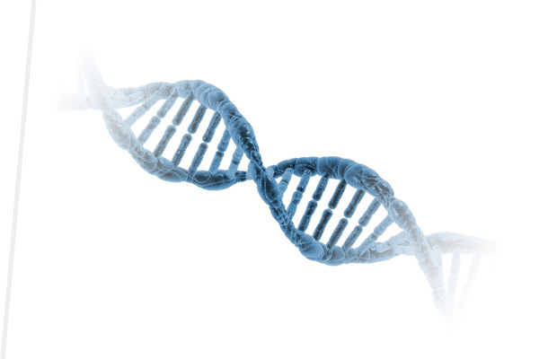 Modélisation Médical - TVF Consulting